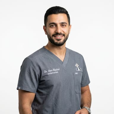 Dr. Sameh Dawoud